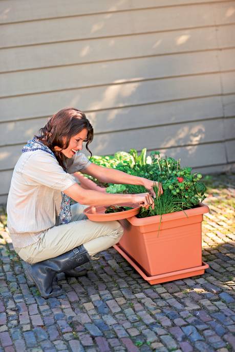 green basics jardin xxl 100cm terre cuite doux